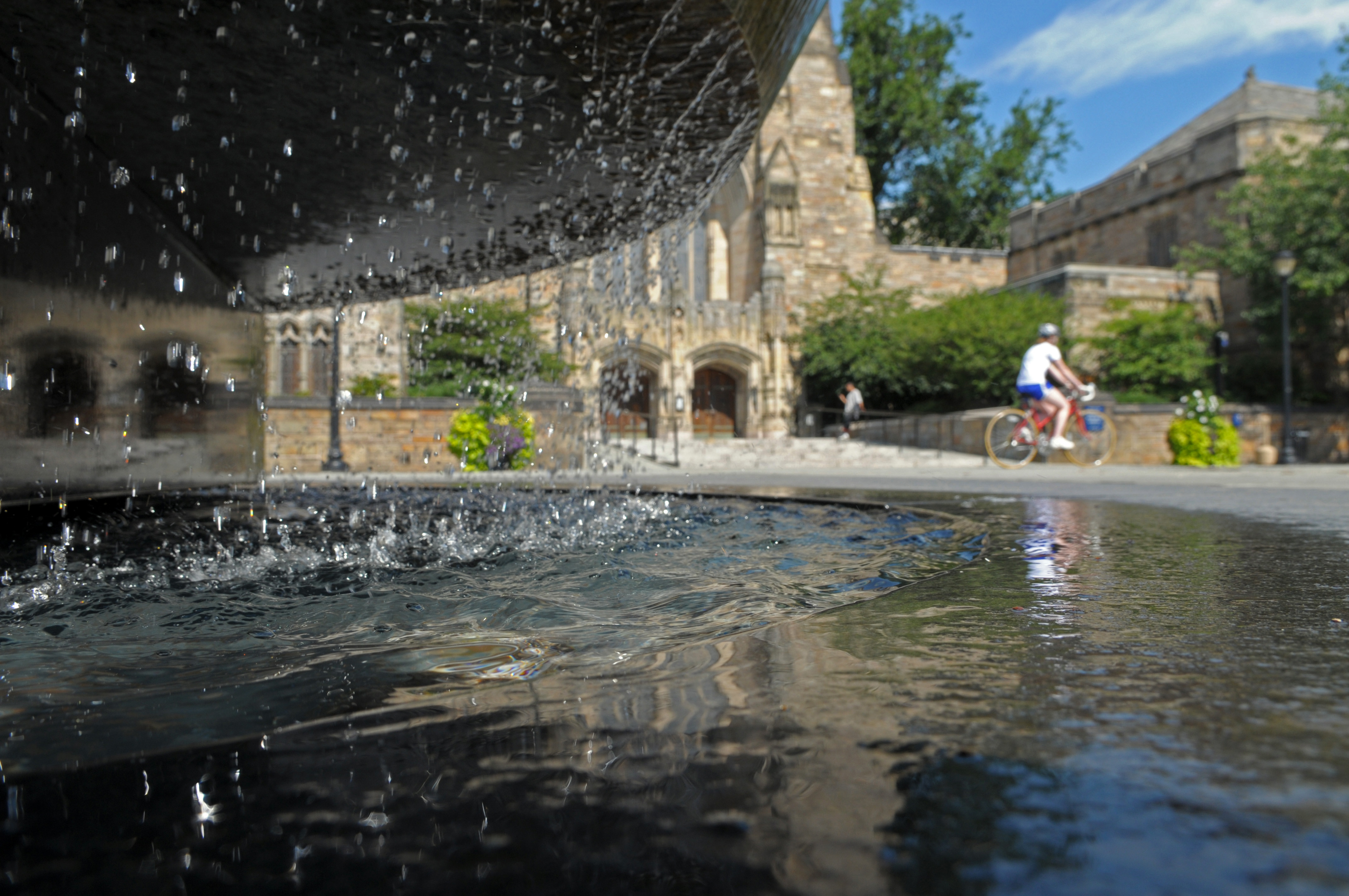 View through Maya Lin Women's Table