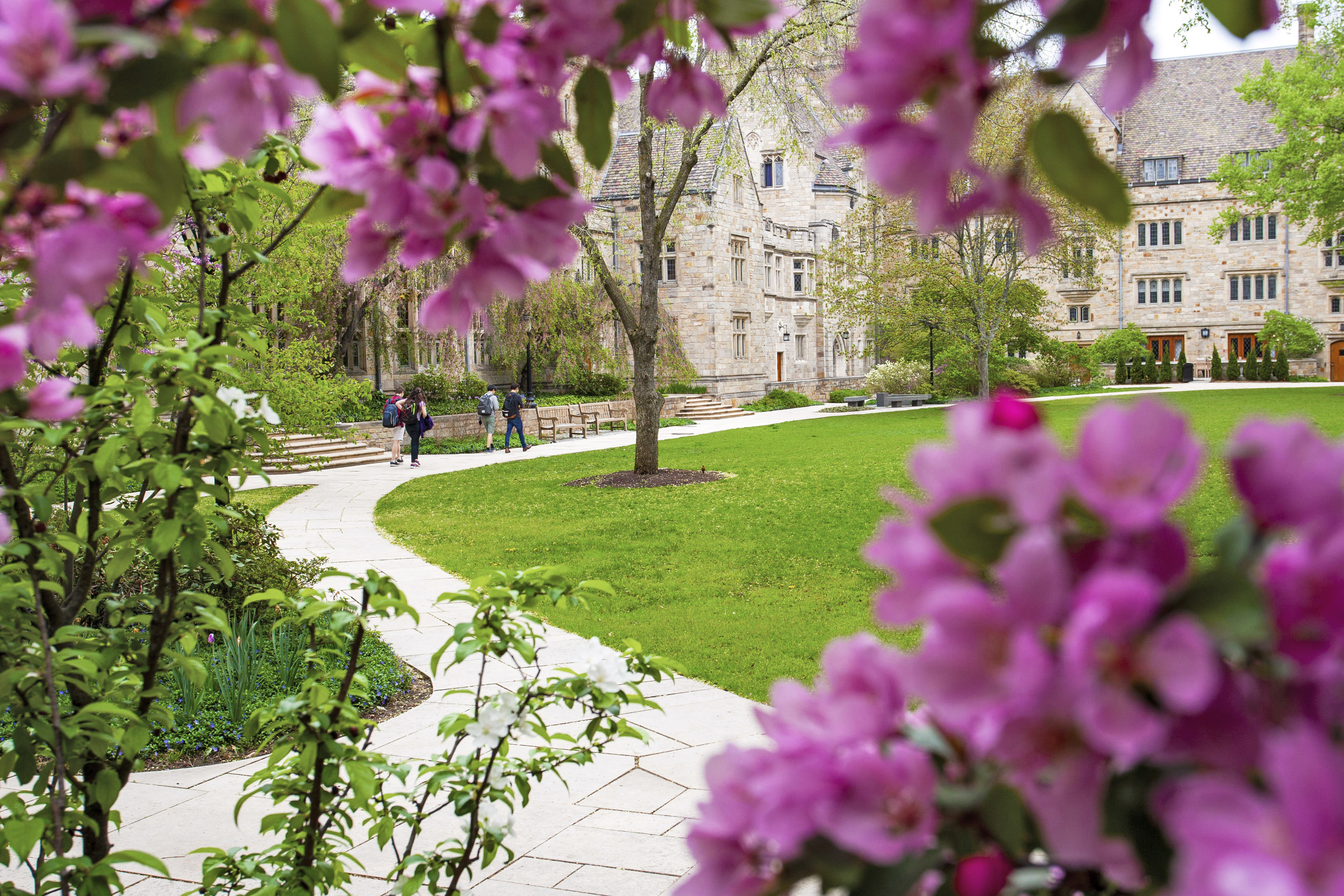 Branford College