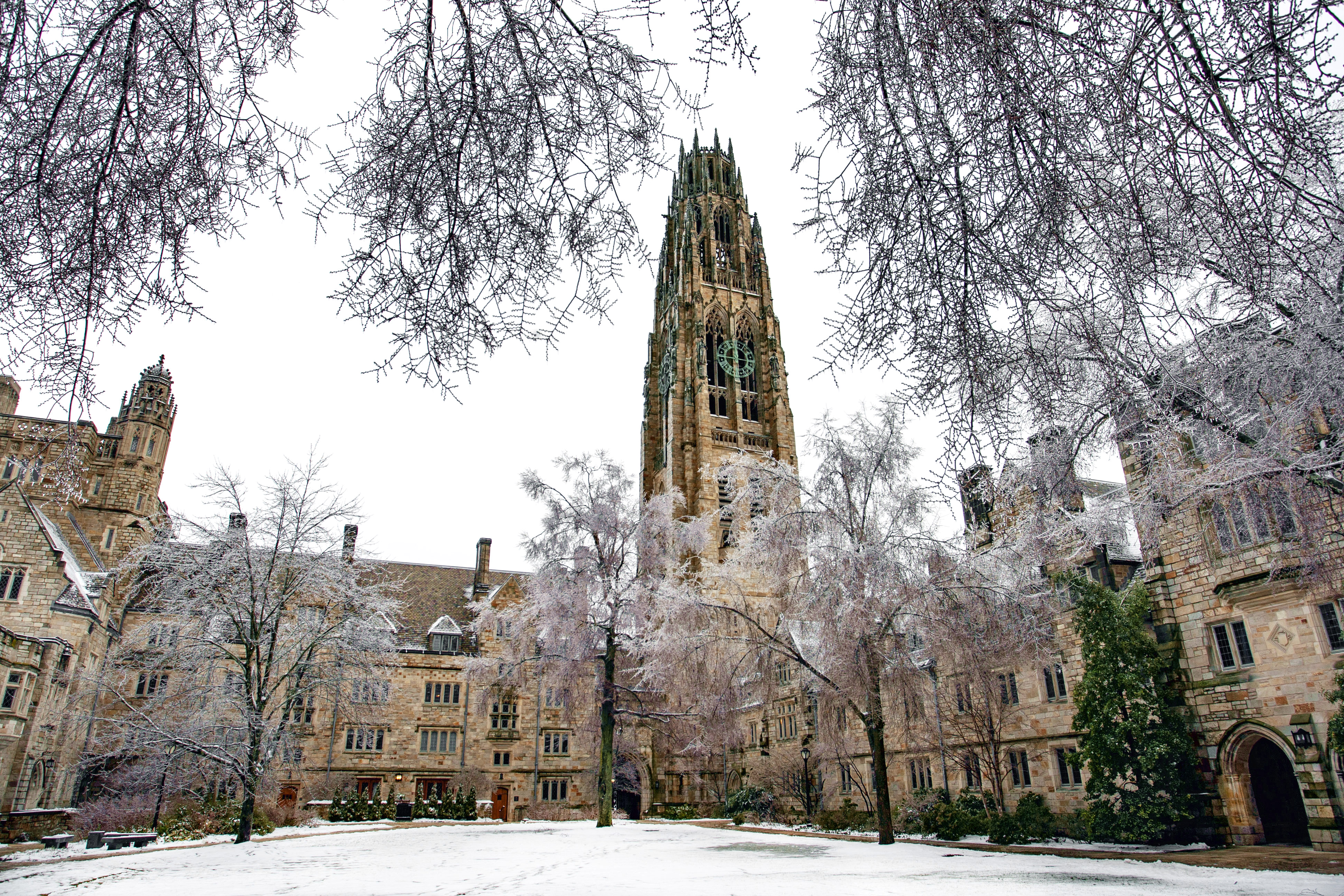 Branford College Courtyard