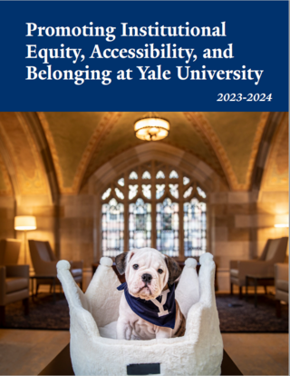 Promoting Institutional Equity, Accessibility, and Belonging at Yale University